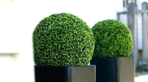 Artificial Hedge Ball