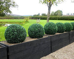MountainSnow High Quality Artificial Boxwood Ball,  UV Protected Faux Greenery Ball, Suitable for Both Outdoor and Indoor Use